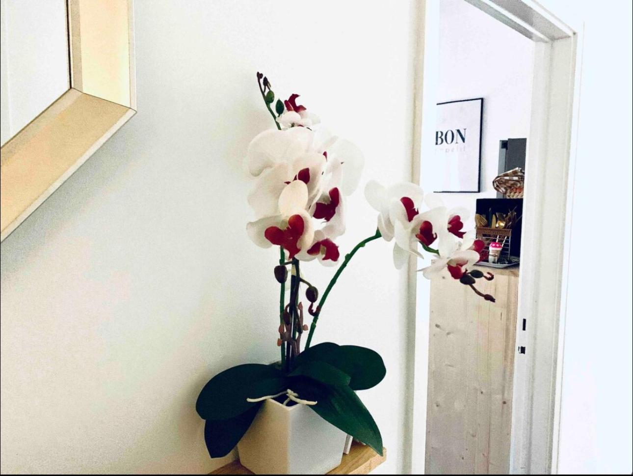 Self-Check In Sunny & Charming Apt Coimbra Exteriör bild