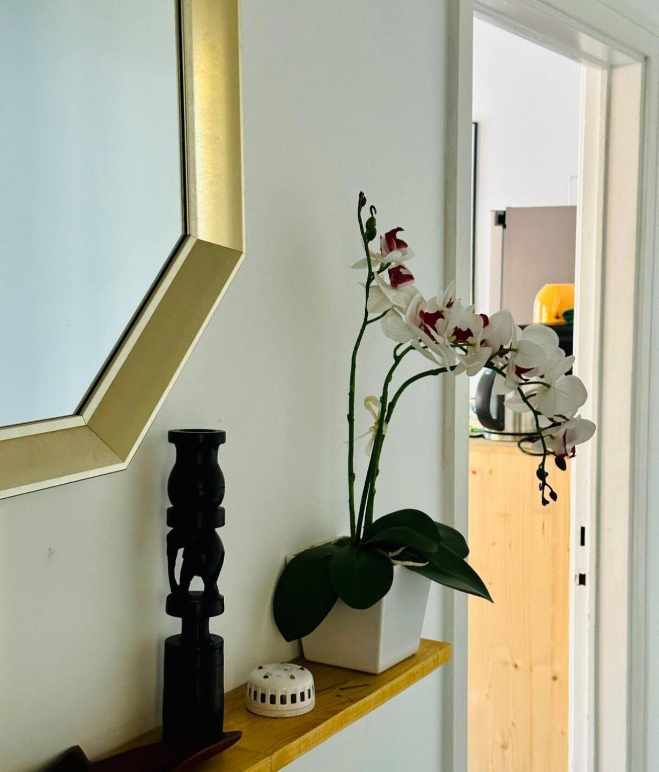 Self-Check In Sunny & Charming Apt Coimbra Exteriör bild